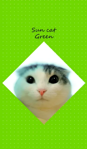 [LINE着せ替え] Sun cat greenの画像1