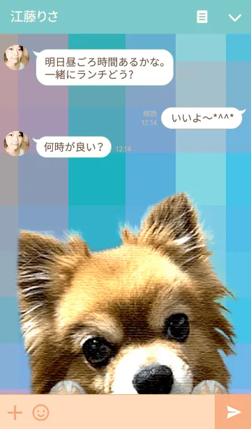 [LINE着せ替え] 愛犬 マロンの肉球 写真 着せかえの画像3