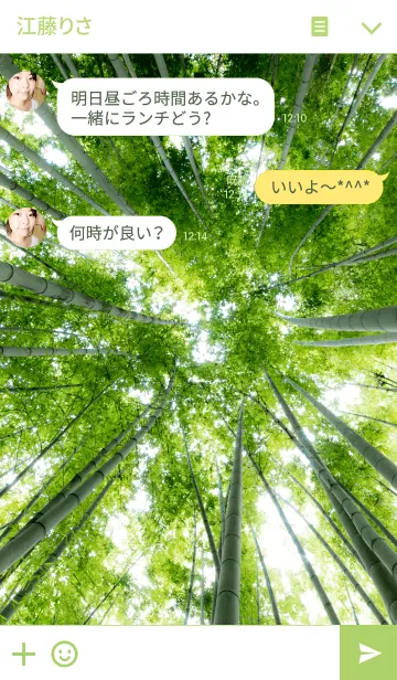 [LINE着せ替え] 見上げた竹林の画像3