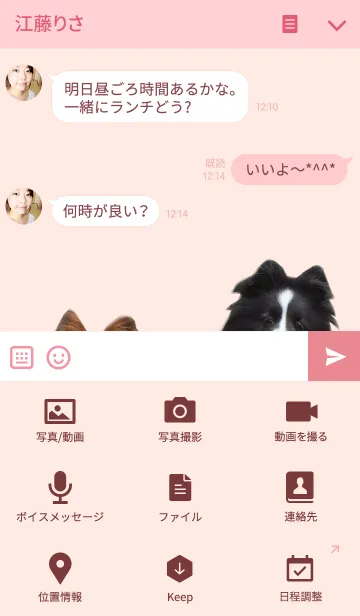 [LINE着せ替え] シェルティとその仲間の画像4