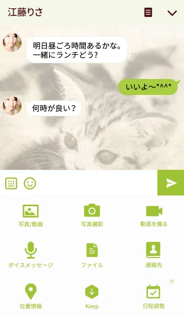 [LINE着せ替え] わんにゃんLOVE アメショBabyの画像4