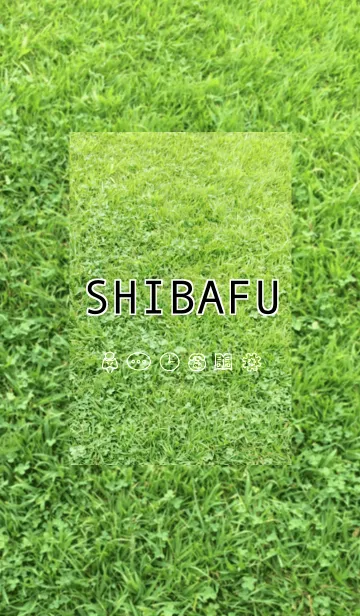 [LINE着せ替え] SHIBAFUの画像1