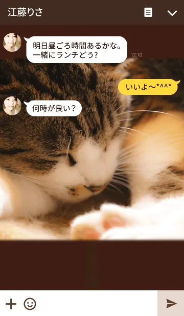 [LINE着せ替え] ねこねんねの画像3