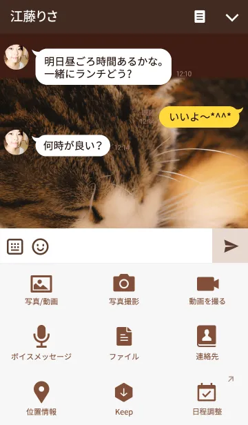 [LINE着せ替え] ねこねんねの画像4