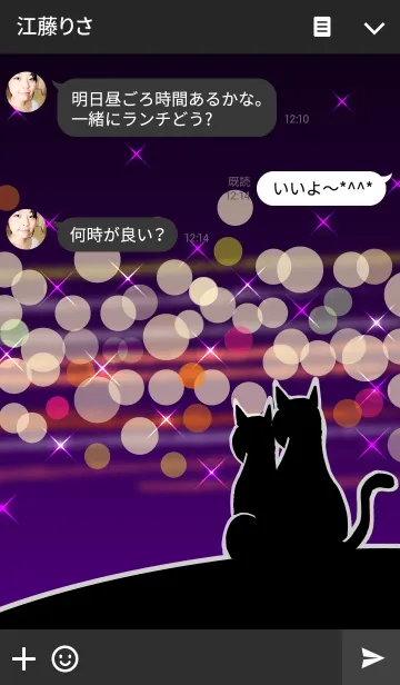 [LINE着せ替え] Black Cat ＆ Bokeh with Sweetheartの画像3