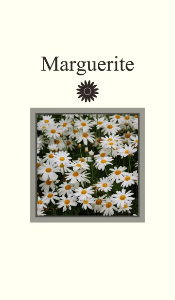 [LINE着せ替え] Margueriteの画像1