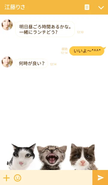 [LINE着せ替え] THE CAT ミックスの画像3