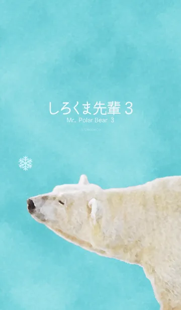 [LINE着せ替え] Mr. Polar Bear 3の画像1