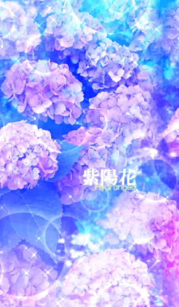 [LINE着せ替え] 紫陽花～Hydrangea～の画像1