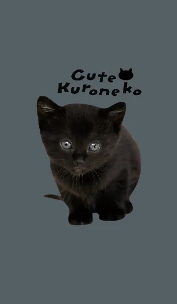 [LINE着せ替え] Cute Kuroneko かわいいクロネコの子猫の画像1