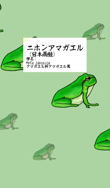 [LINE着せ替え] かわいい二ホンアマガエル着せ替えの画像1