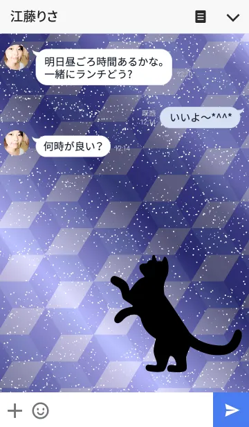 [LINE着せ替え] 光と戯れる猫の画像3