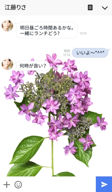 [LINE着せ替え] アジサイの着せかえ1【額紫陽花】の画像3