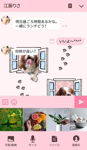 [LINE着せ替え] キャバリアのちゃんココ。pink ver.の画像4