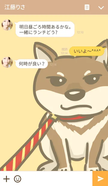 [LINE着せ替え] 台湾momo柴犬の画像3