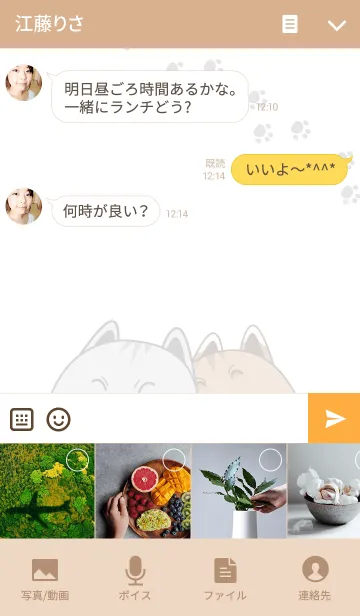 [LINE着せ替え] ねこカップル'モモ'と'キャッチ' テーマの画像4