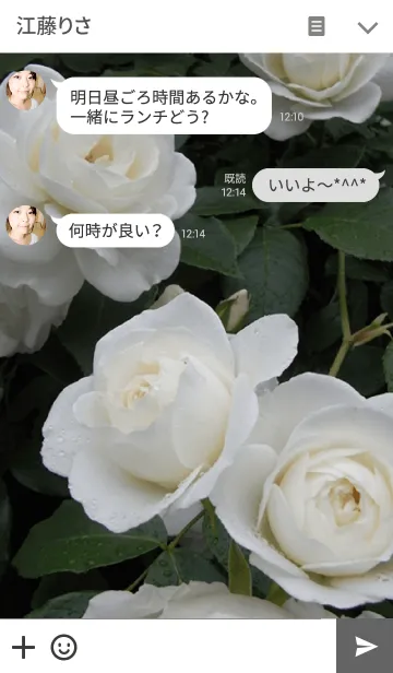 [LINE着せ替え] My garden, My rose_Iceberg_2の画像3