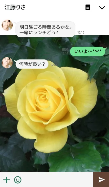 [LINE着せ替え] My garden, My rose_Gold Bunnyの画像3