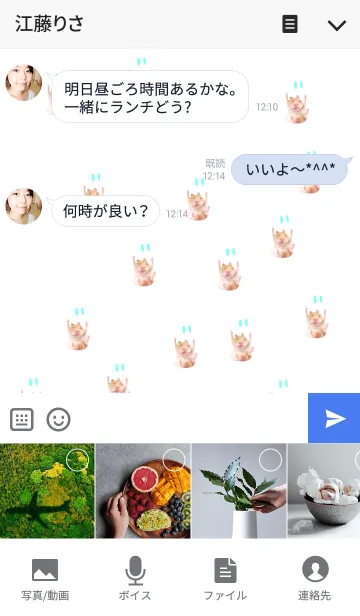 [LINE着せ替え] 落ちてくるハムスターの画像4