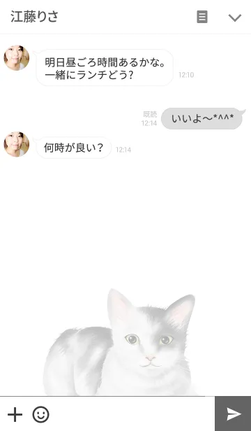 [LINE着せ替え] リアルなねこの着せかえvol.07 白黒猫の画像3