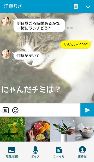 [LINE着せ替え] にゃんだチミは？の画像4