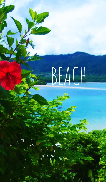 [LINE着せ替え] -BEACH- hibiscusの画像1