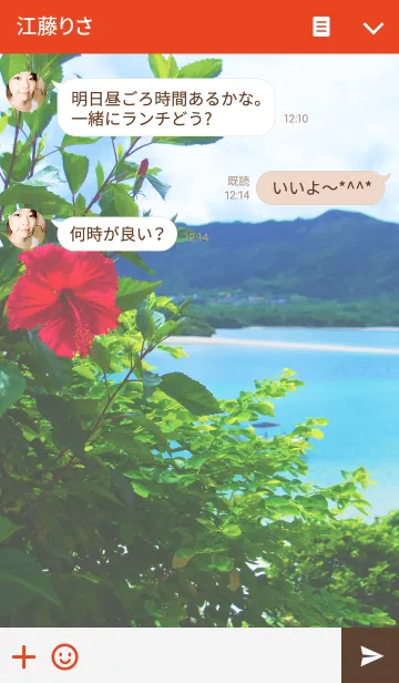 [LINE着せ替え] -BEACH- hibiscusの画像3