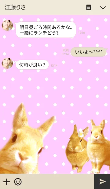 [LINE着せ替え] Dot pattern and rabbitの画像3