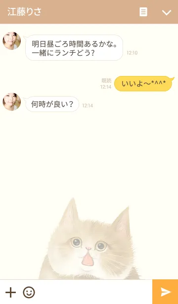 [LINE着せ替え] リアルなねこの着せかえvol.09 茶白猫の画像3