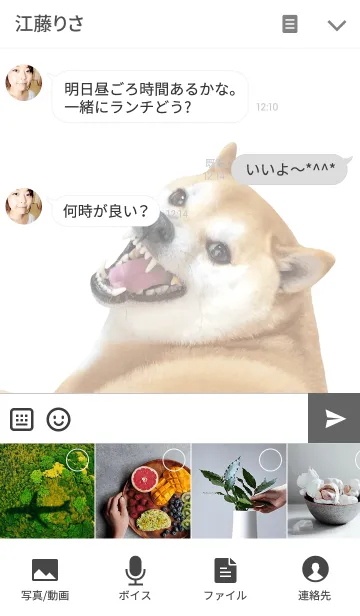 [LINE着せ替え] 柴犬の日常9【イライラ】の画像4