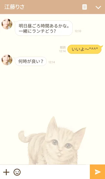 [LINE着せ替え] リアルなねこの着せかえvol.11 茶トラ猫の画像3