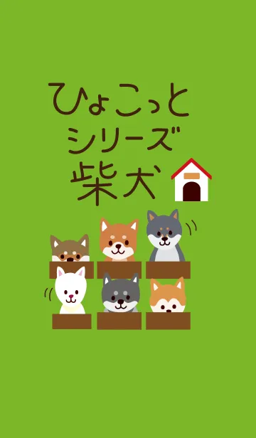 [LINE着せ替え] ひょこっとシリーズ 柴犬の画像1