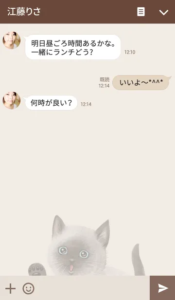 [LINE着せ替え] リアルなねこの着せかえvol.13 シャム猫の画像3