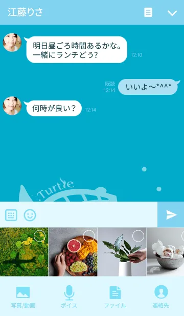 [LINE着せ替え] Turtle Theme-BLUE-の画像4