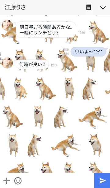 [LINE着せ替え] 柴犬の日常10【スマイル】の画像3