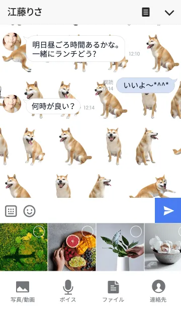 [LINE着せ替え] 柴犬の日常10【スマイル】の画像4