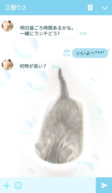 [LINE着せ替え] わんにゃんLOVE Bathcatマンチカンの画像3