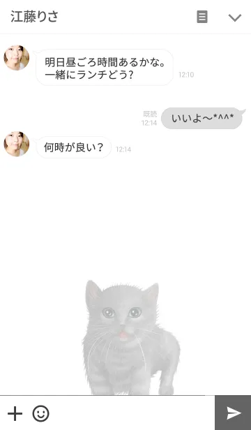 [LINE着せ替え] リアルなねこの着せかえvol.15 灰猫の画像3