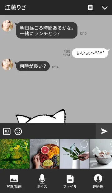 [LINE着せ替え] つぶねこきせかえの画像4