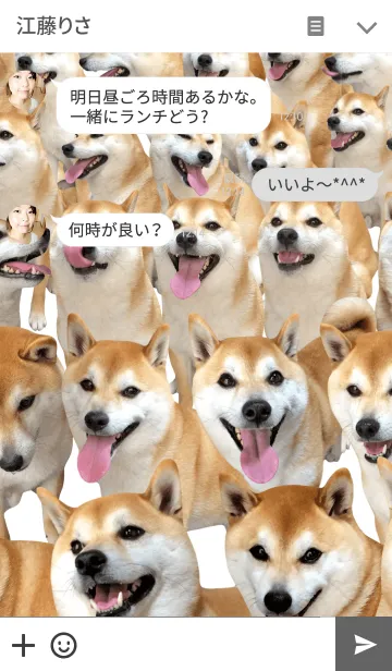 [LINE着せ替え] 柴犬の日常13【ぎっしり】の画像3