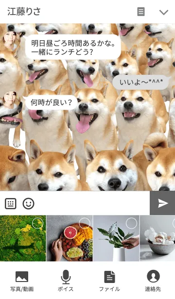 [LINE着せ替え] 柴犬の日常13【ぎっしり】の画像4