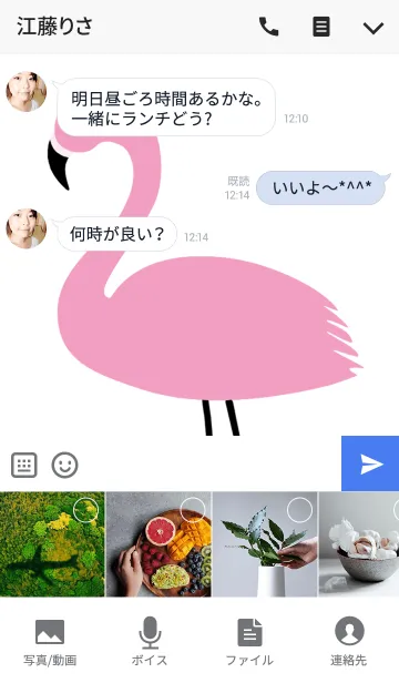 [LINE着せ替え] デカフラミンゴの画像4