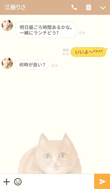 [LINE着せ替え] リアルなねこの着せかえvol.18 茶白猫の画像3