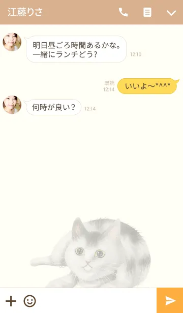 [LINE着せ替え] リアルなねこの着せかえvol.19 白黒猫の画像3