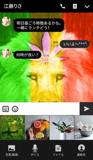 [LINE着せ替え] RASTA LIONの画像4