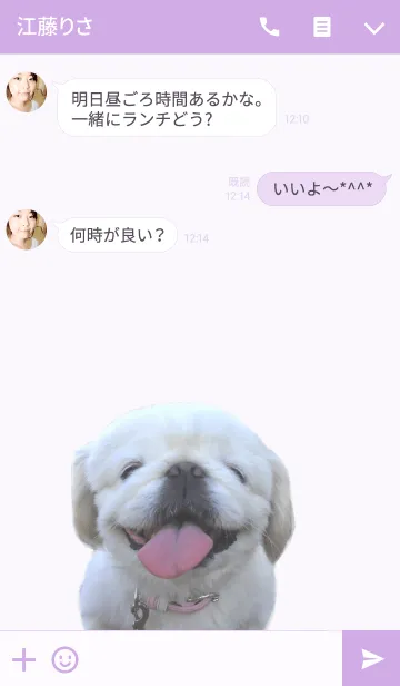 [LINE着せ替え] ベロ出し☆白ペキニーズ☆の画像3