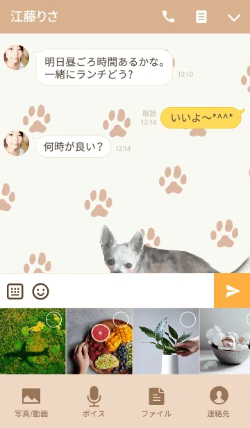 [LINE着せ替え] チワワのグロビュルの画像4