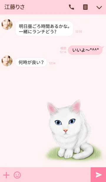 [LINE着せ替え] のりこ専用のしろねこのなまえ名前着せ替えの画像3