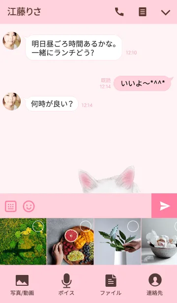 [LINE着せ替え] のりこ専用のしろねこのなまえ名前着せ替えの画像4