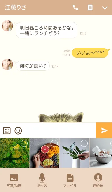 [LINE着せ替え] かなみ専用のなまえ名前着せ替えの画像4